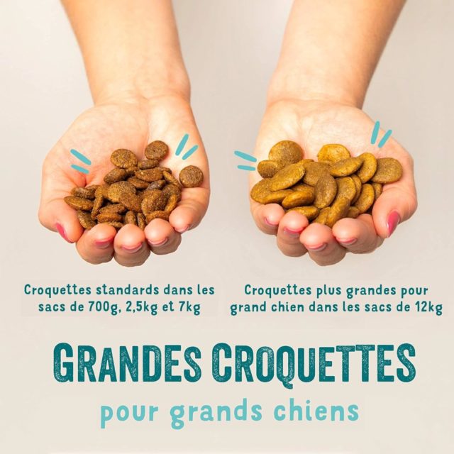 Edgard & Cooper Agneau frais Sans Céréales Hypoallergéniques pour Chien Adulte – Image 3