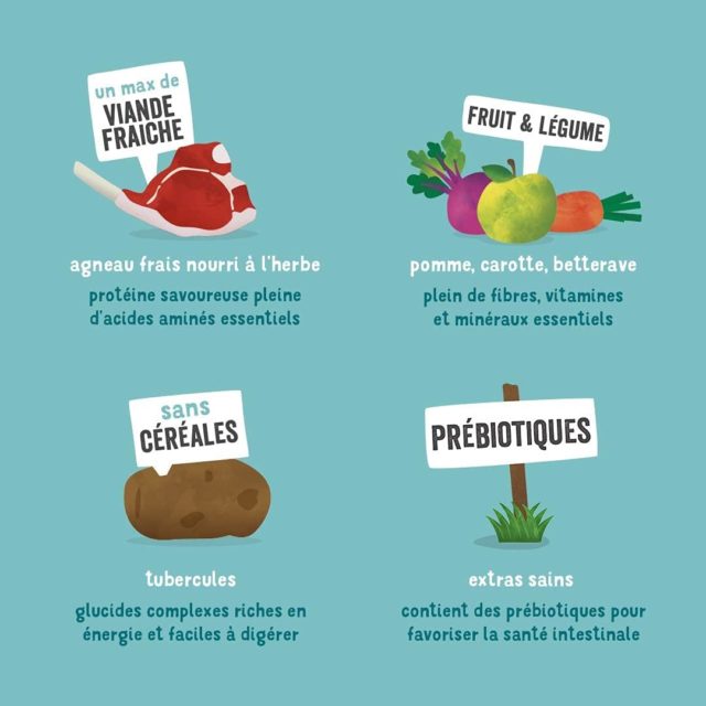 Edgard & Cooper Agneau frais Sans Céréales Hypoallergéniques pour Chien Adulte – Image 4
