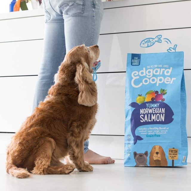 Edgard & Cooper Saumon frais Sans Céréales Hypoallergéniques pour Chien Adulte – Image 2