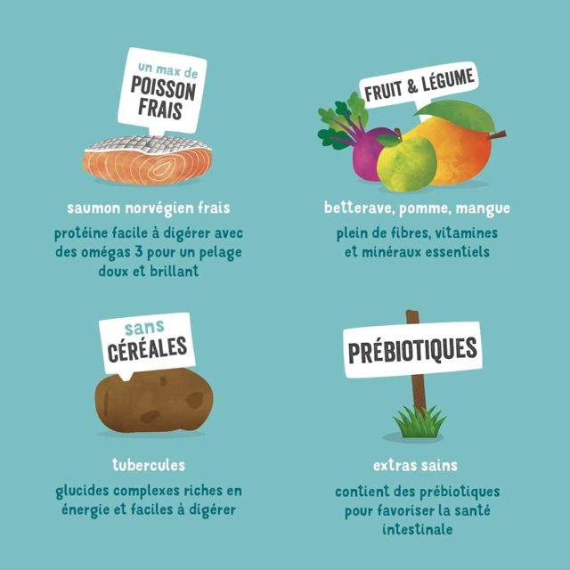 Edgard & Cooper Saumon frais Sans Céréales Hypoallergéniques pour Chien Adulte – Image 4