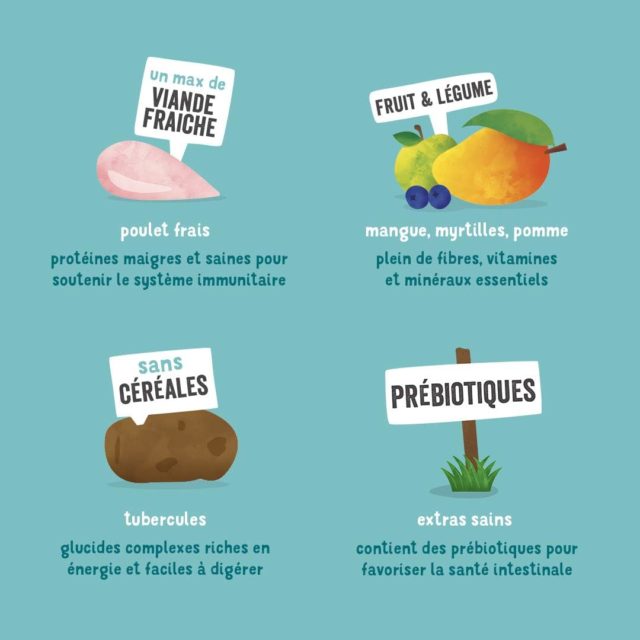 Edgard & Cooper Poulet frais Sans Céréales pour Chien Adulte – Image 3