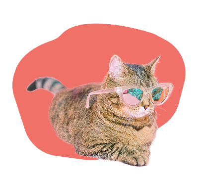 Chat