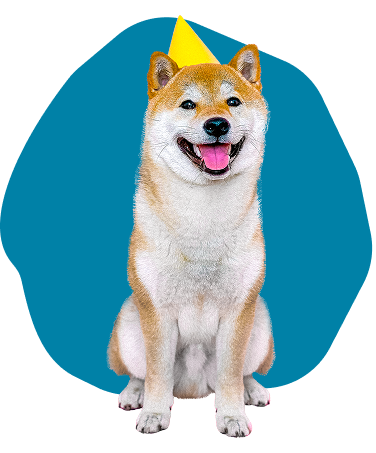 Chien
